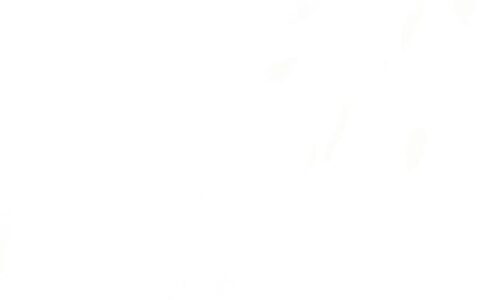 OLTEANU Claudia-Veronica